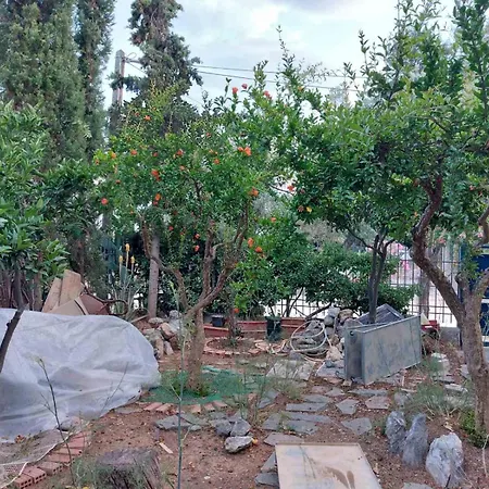 House On The Appartamento